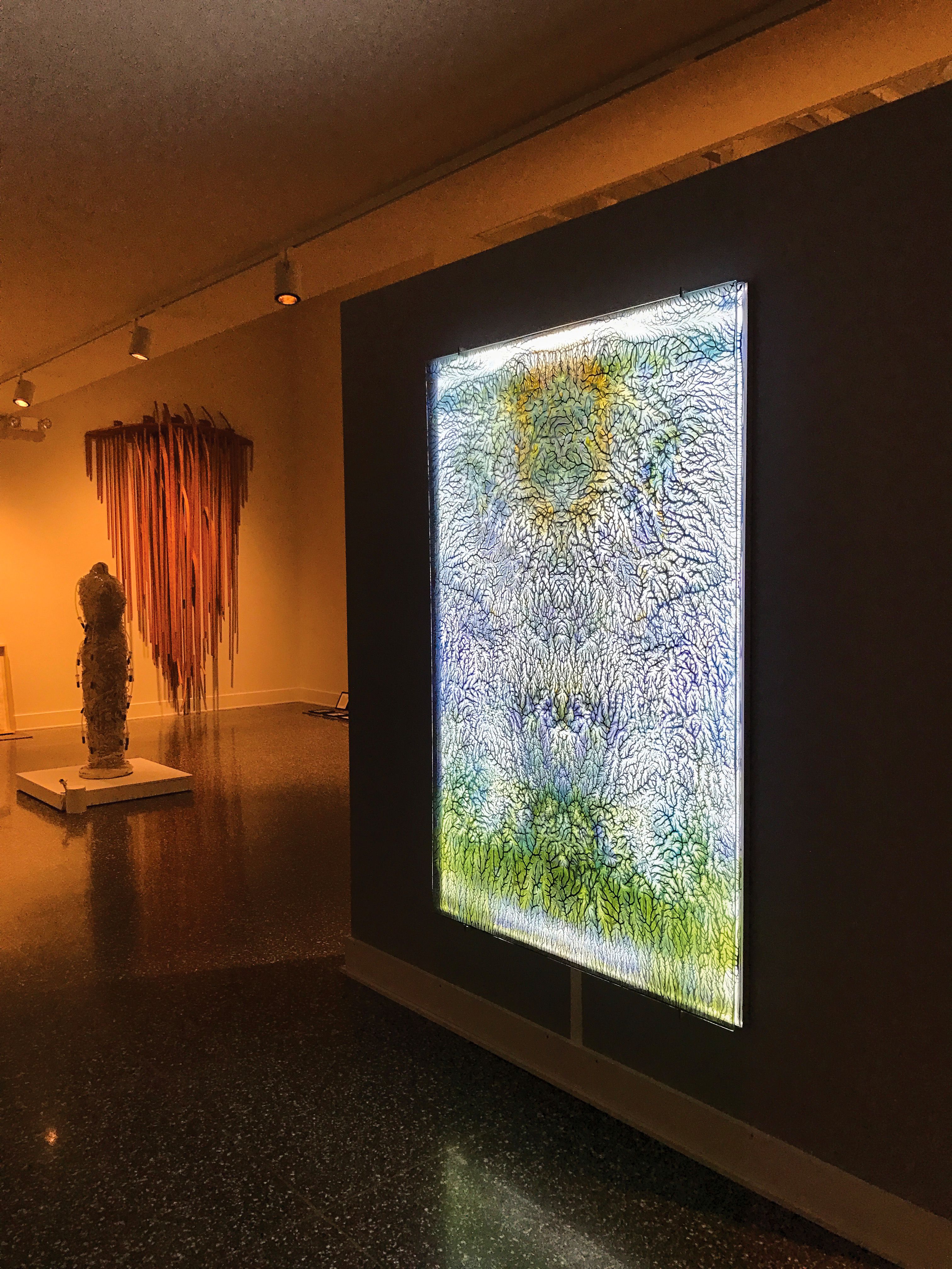 Dorsky Museum of Art