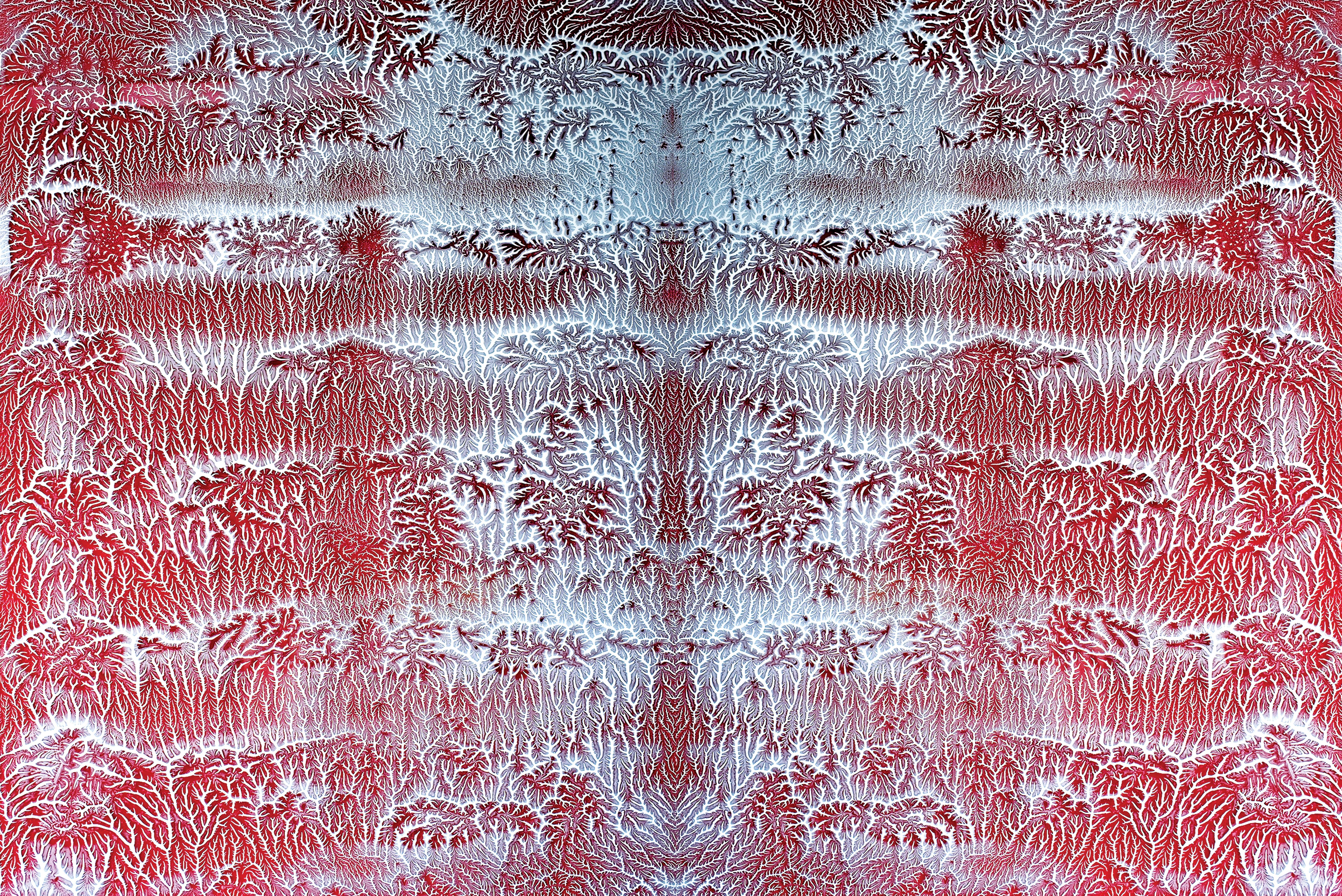 The Opposite of Death (Lo Contrario de la Muerte)