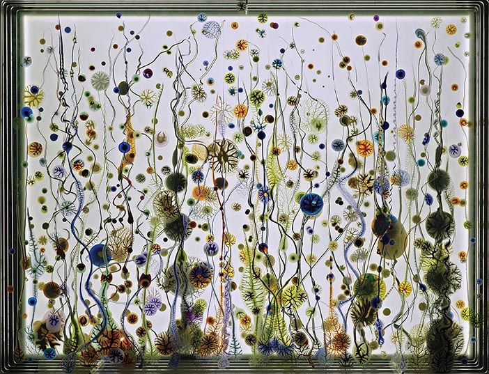 #335 – “Life Force”