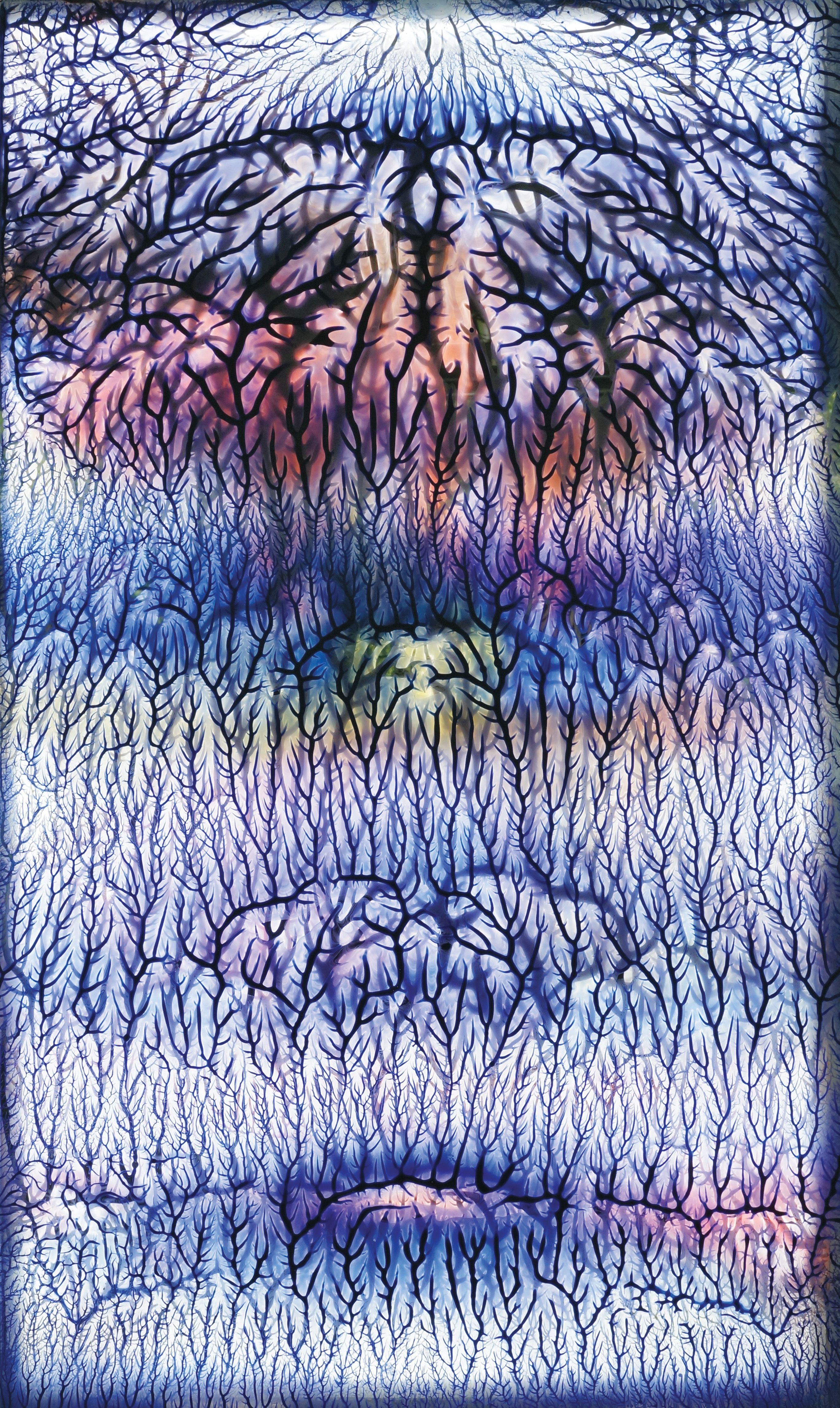 NYPL 5th Ave. Vitrine