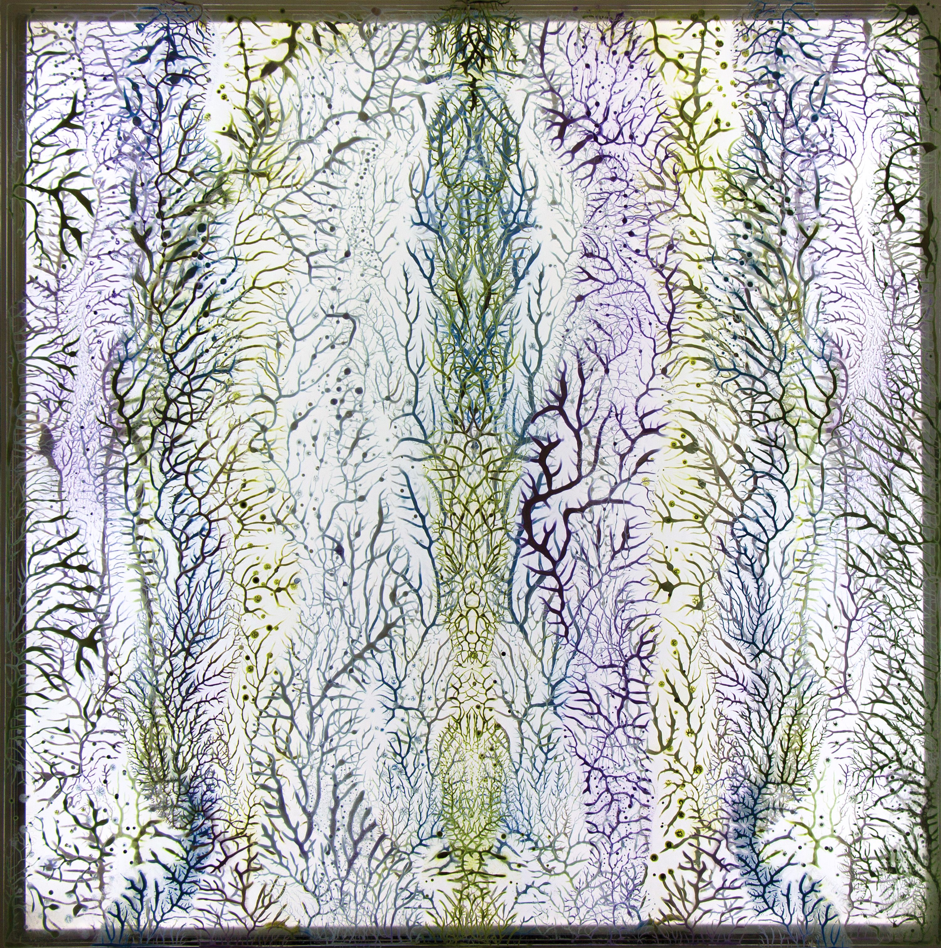 Down Deep, Diving Further