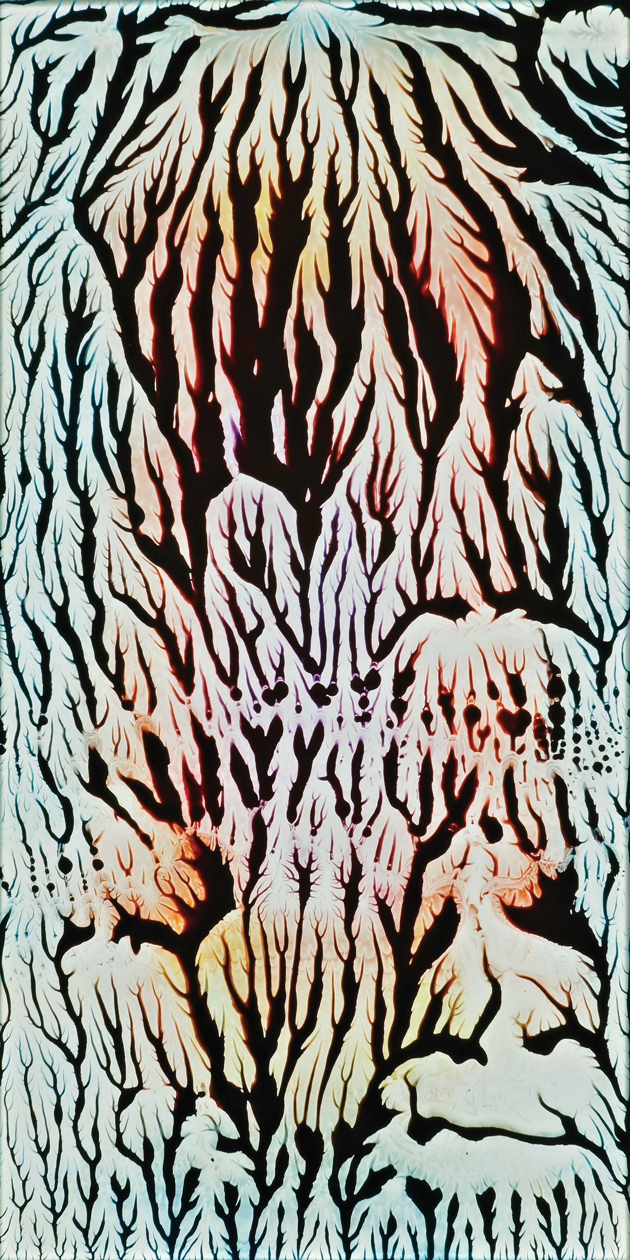 NYPL Window 2, 5th Avenue