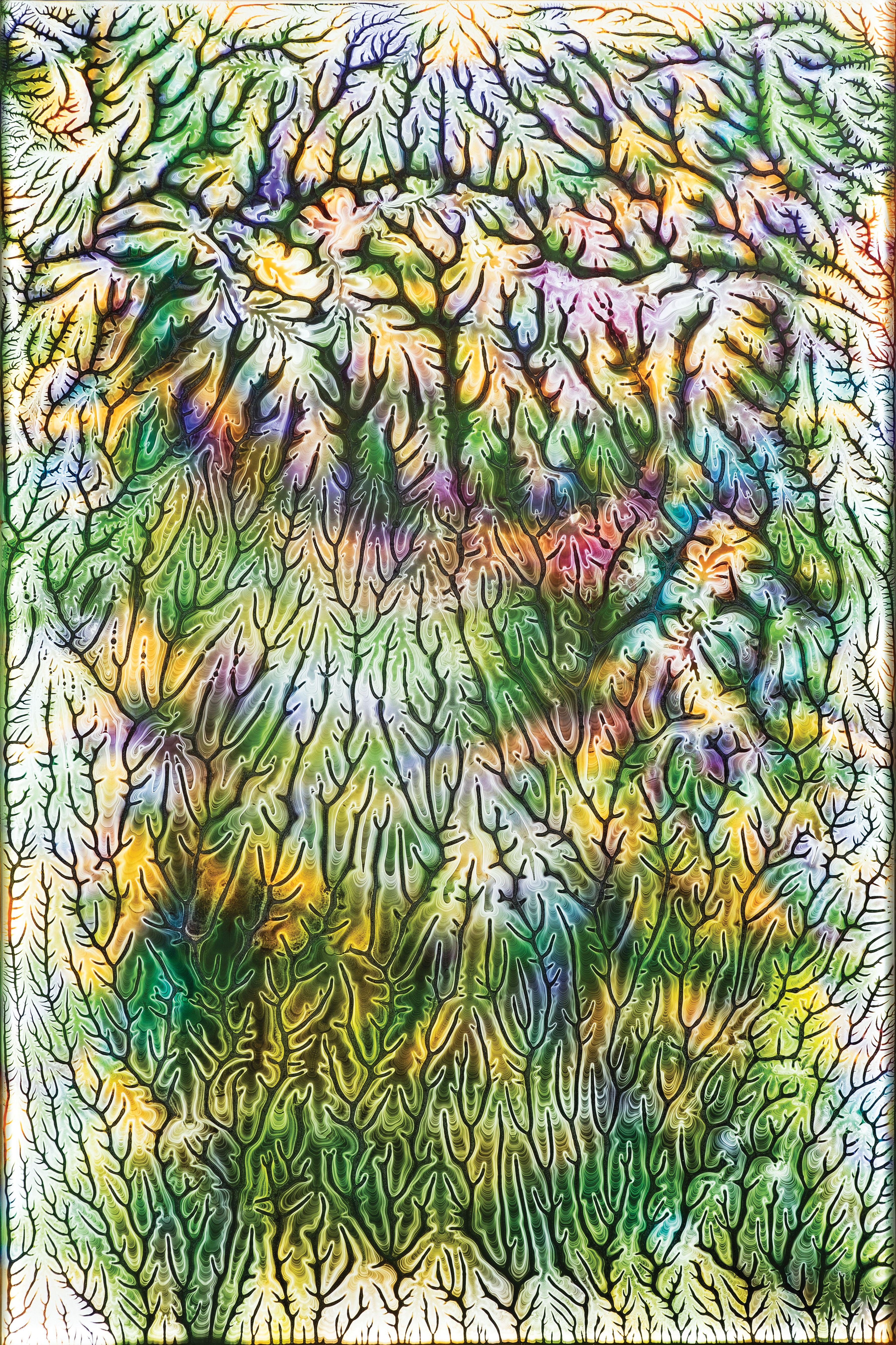 Psychedelia (In The Beginning)