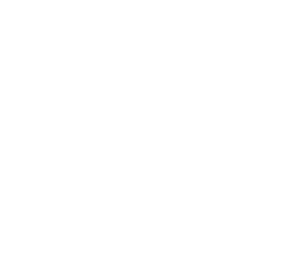 Solmu Brewery logo