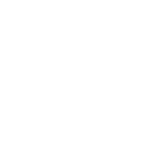 Solmu Brewery  logo