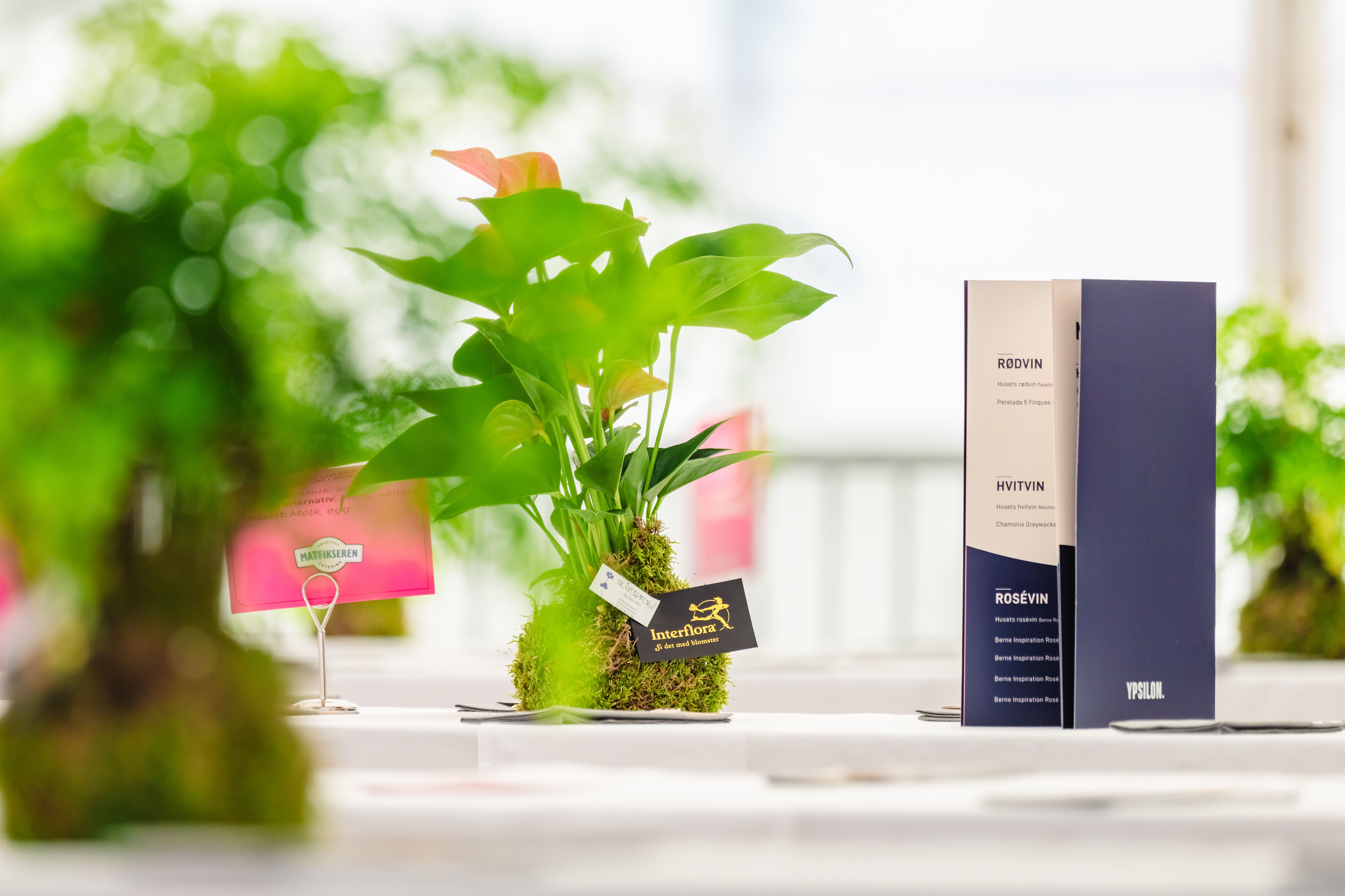 Interflora som partner på Ypsilon.
