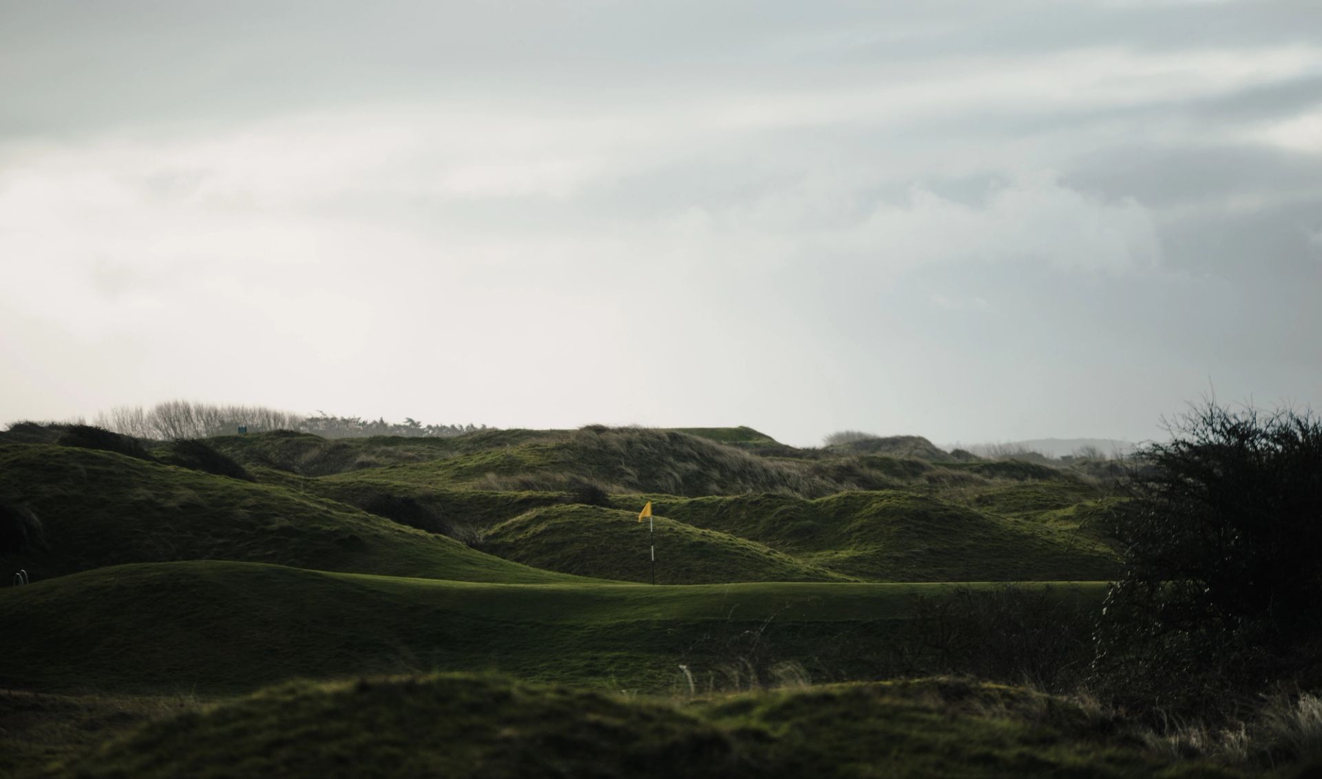 For the Winter Warrior