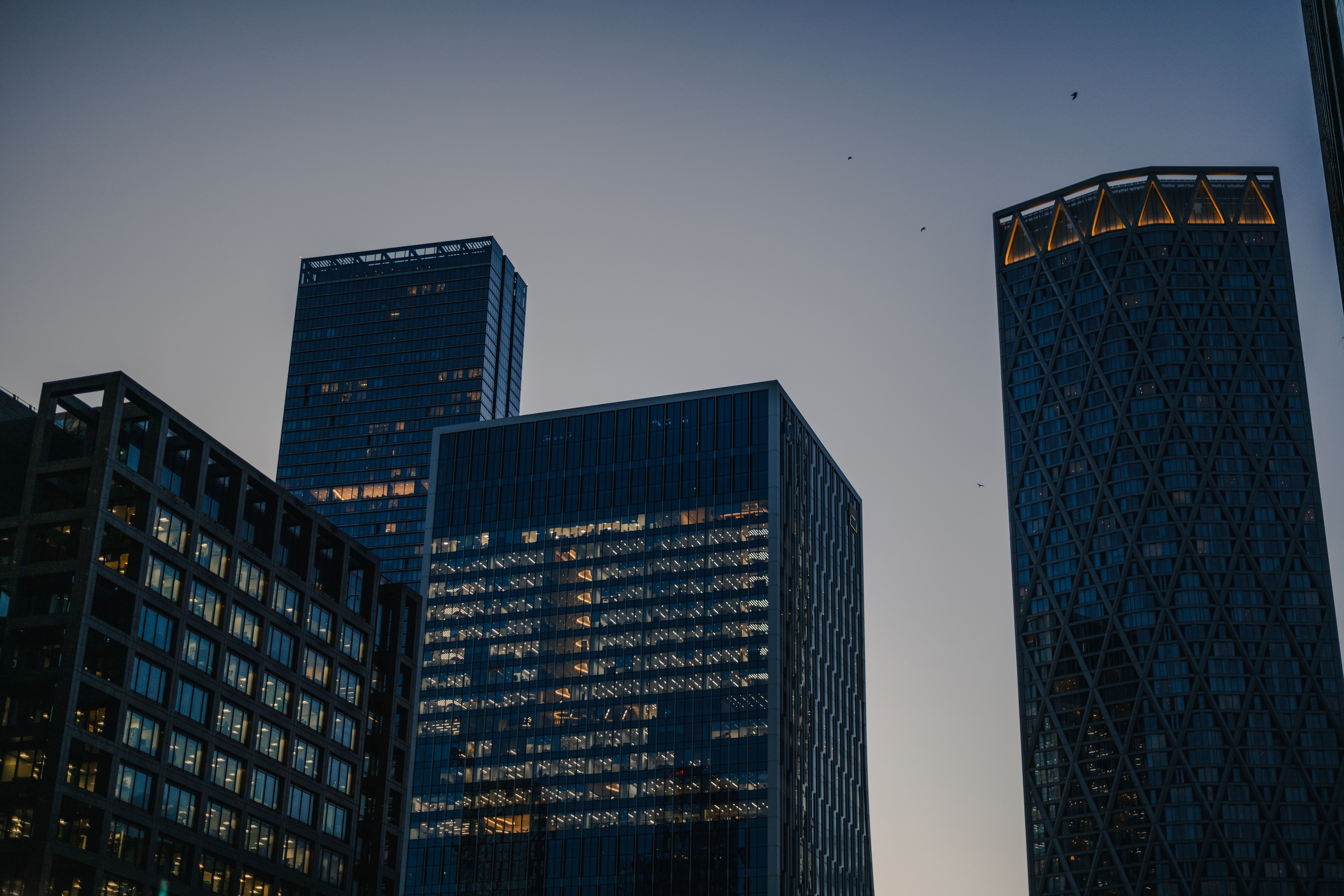 Graphic Sticker Pack