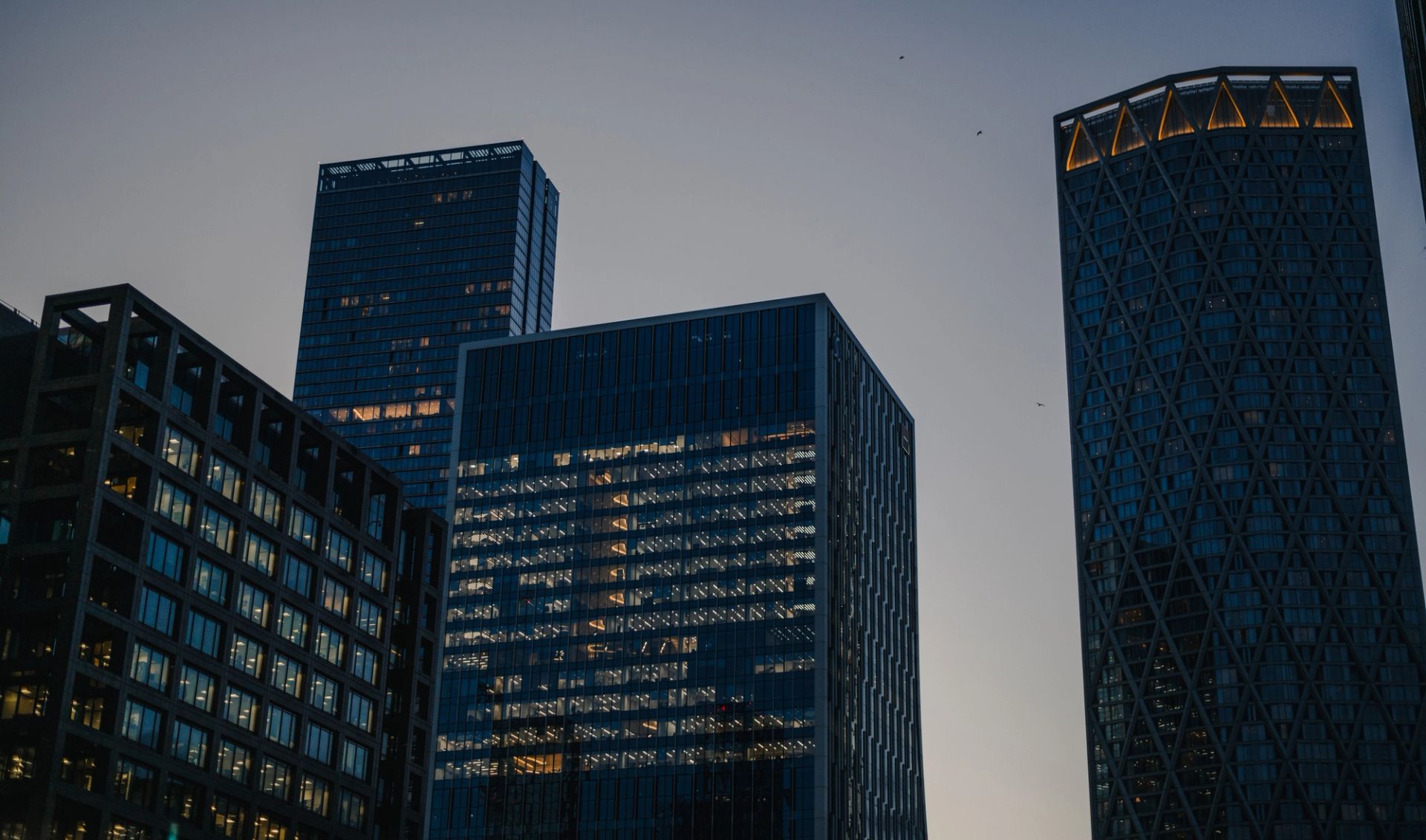 Graphic Sticker Pack