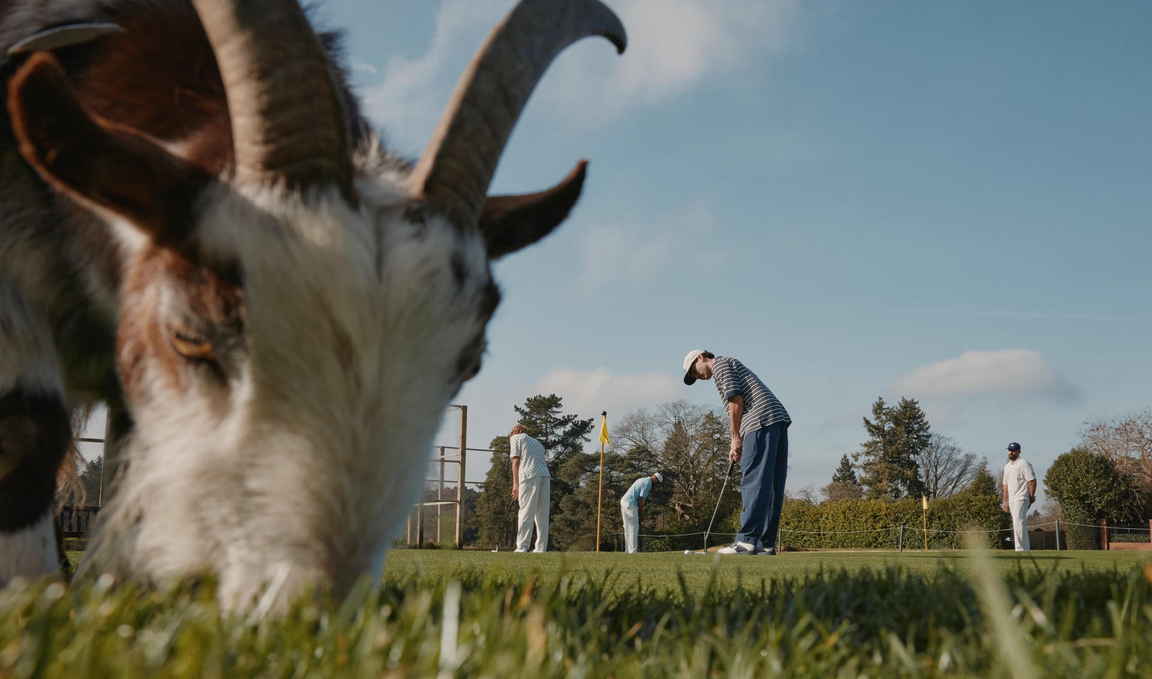 Unlock For Early Access