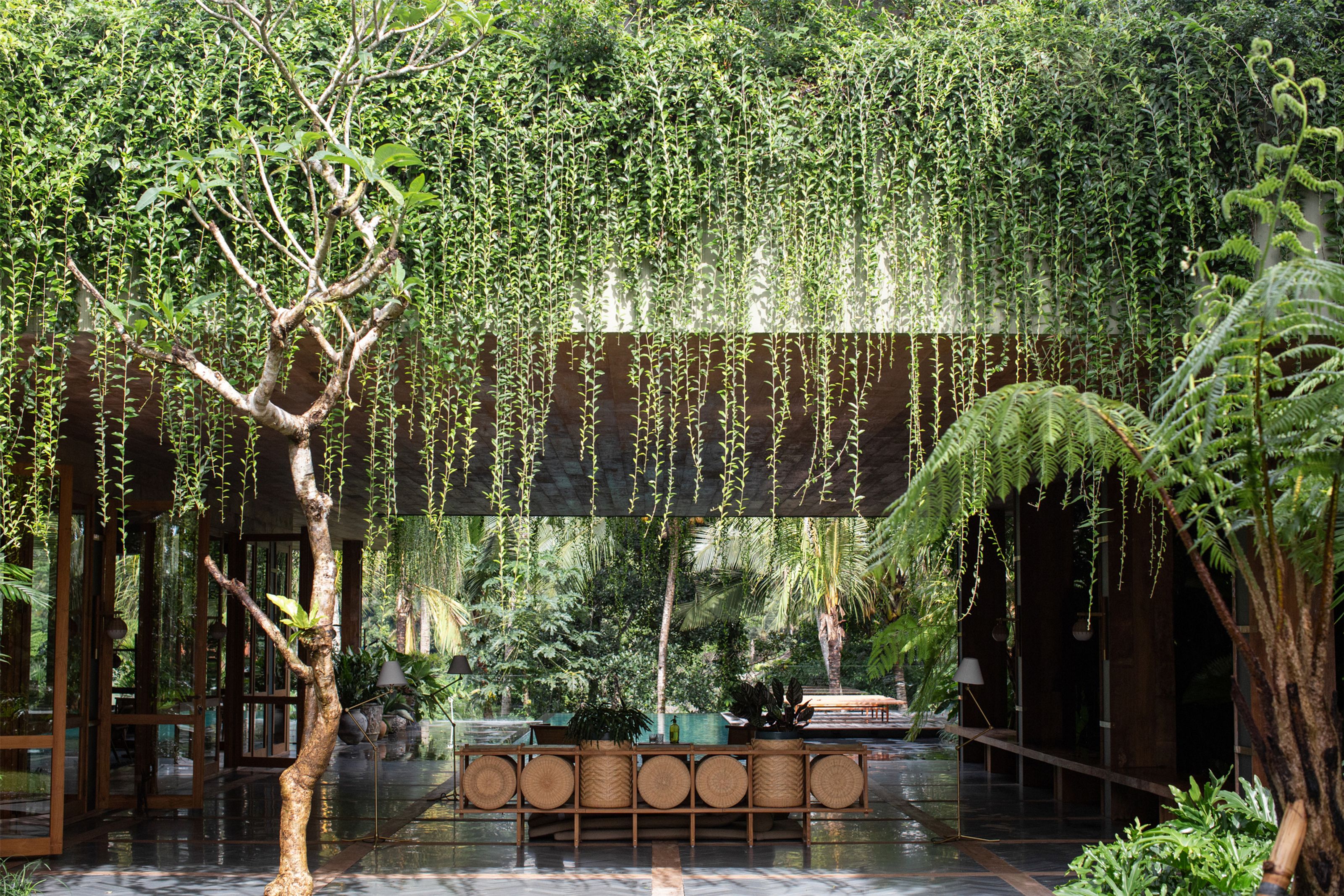 A lush open-air space with a beam draped in cascading green vines, a tree, and a low console with woven baskets.