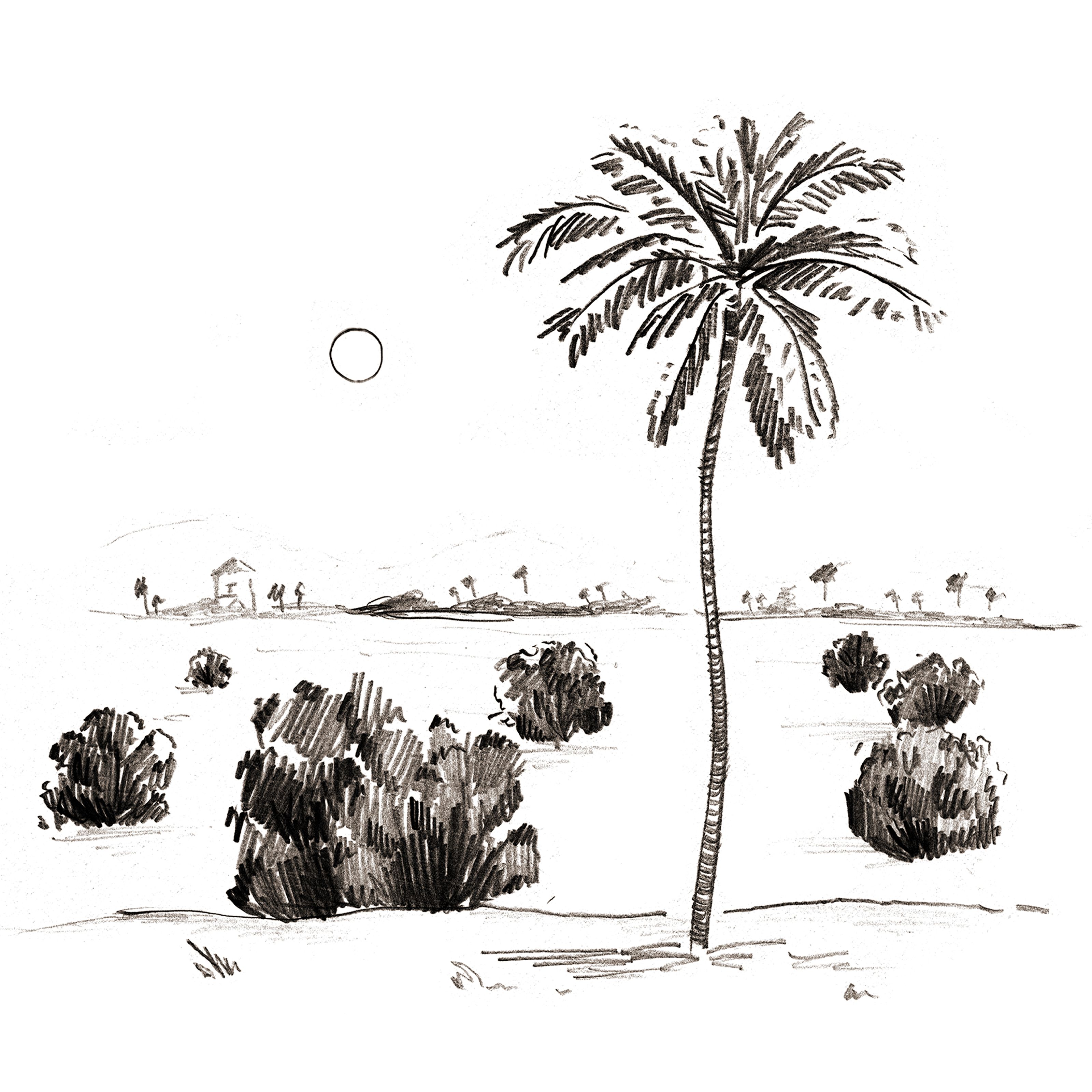 Monochrome sketch of a landscape with a tall palm tree, bushes, distant house, hills, and a sun.