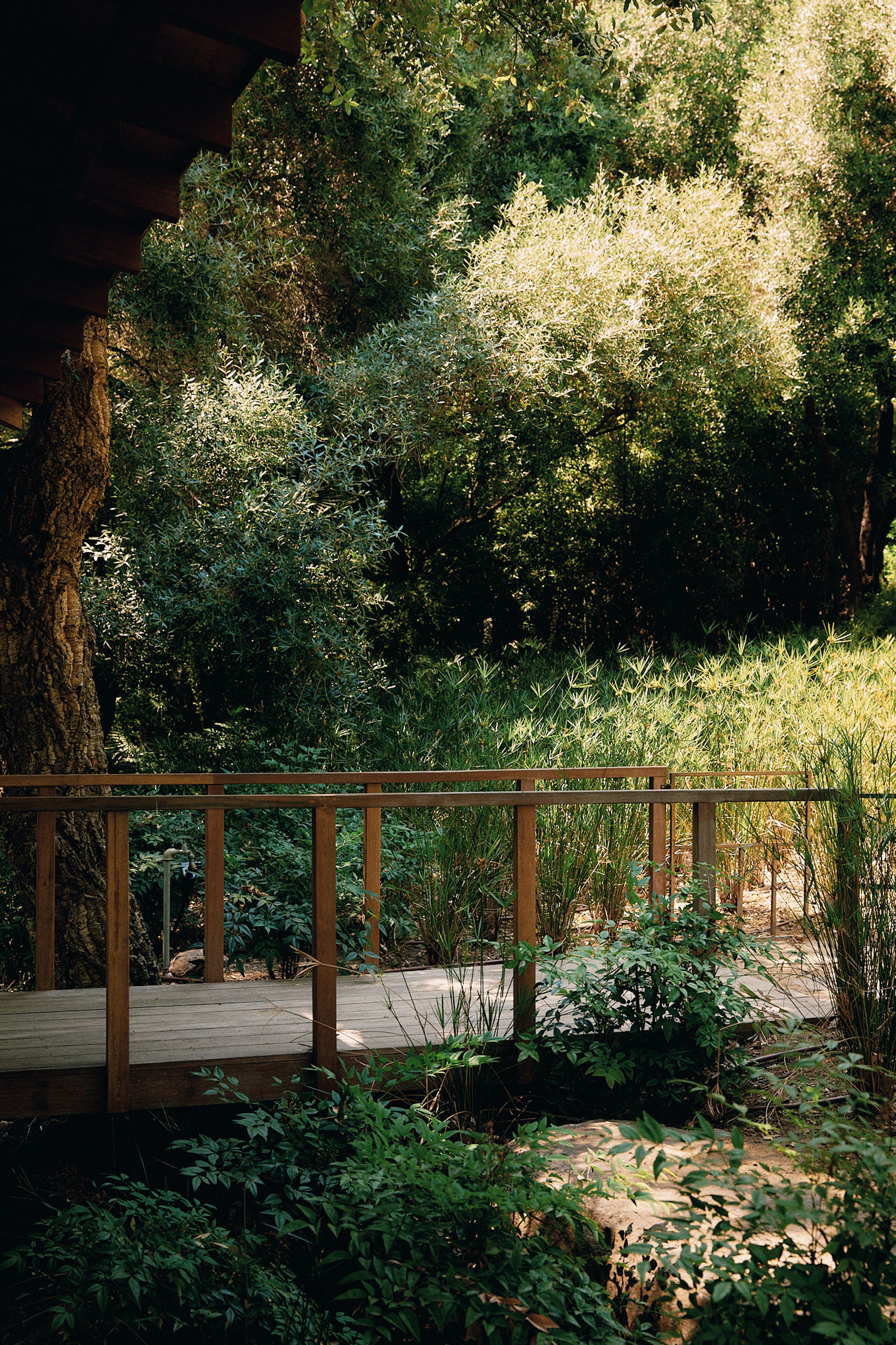 A wooden bridge with railings extends into a lush green landscape of trees and foliage, dappled in sunlight.