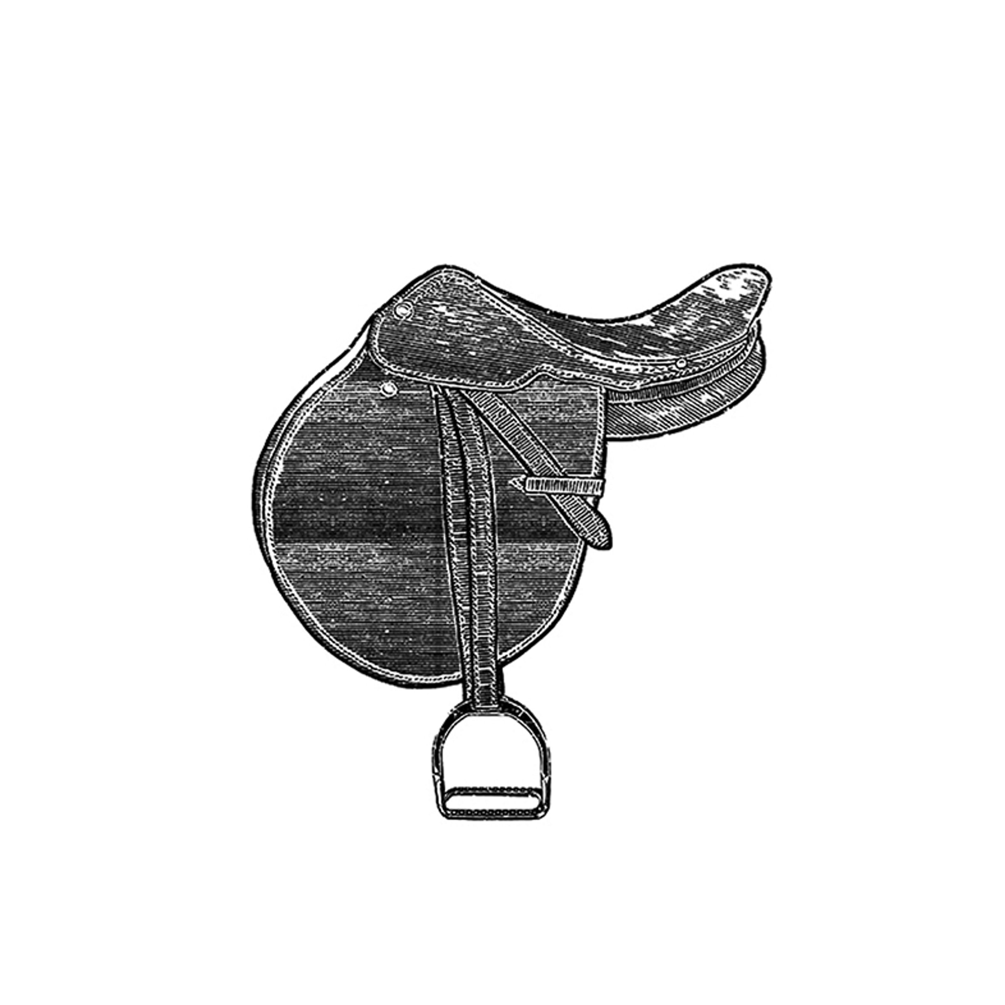 Black and white illustration of an English riding saddle.