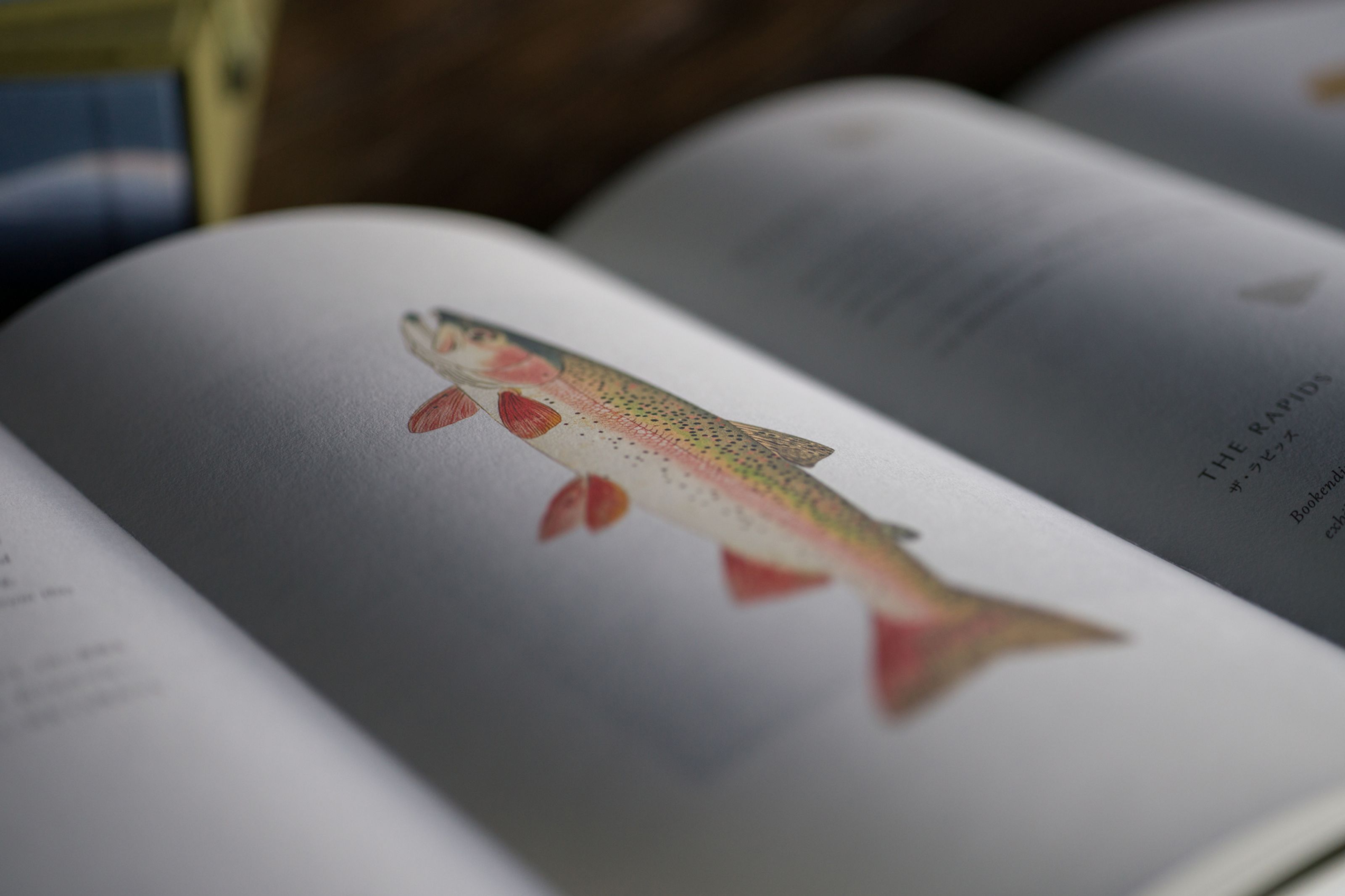 An open book with a rainbow trout illustration on the left page and text on the right.