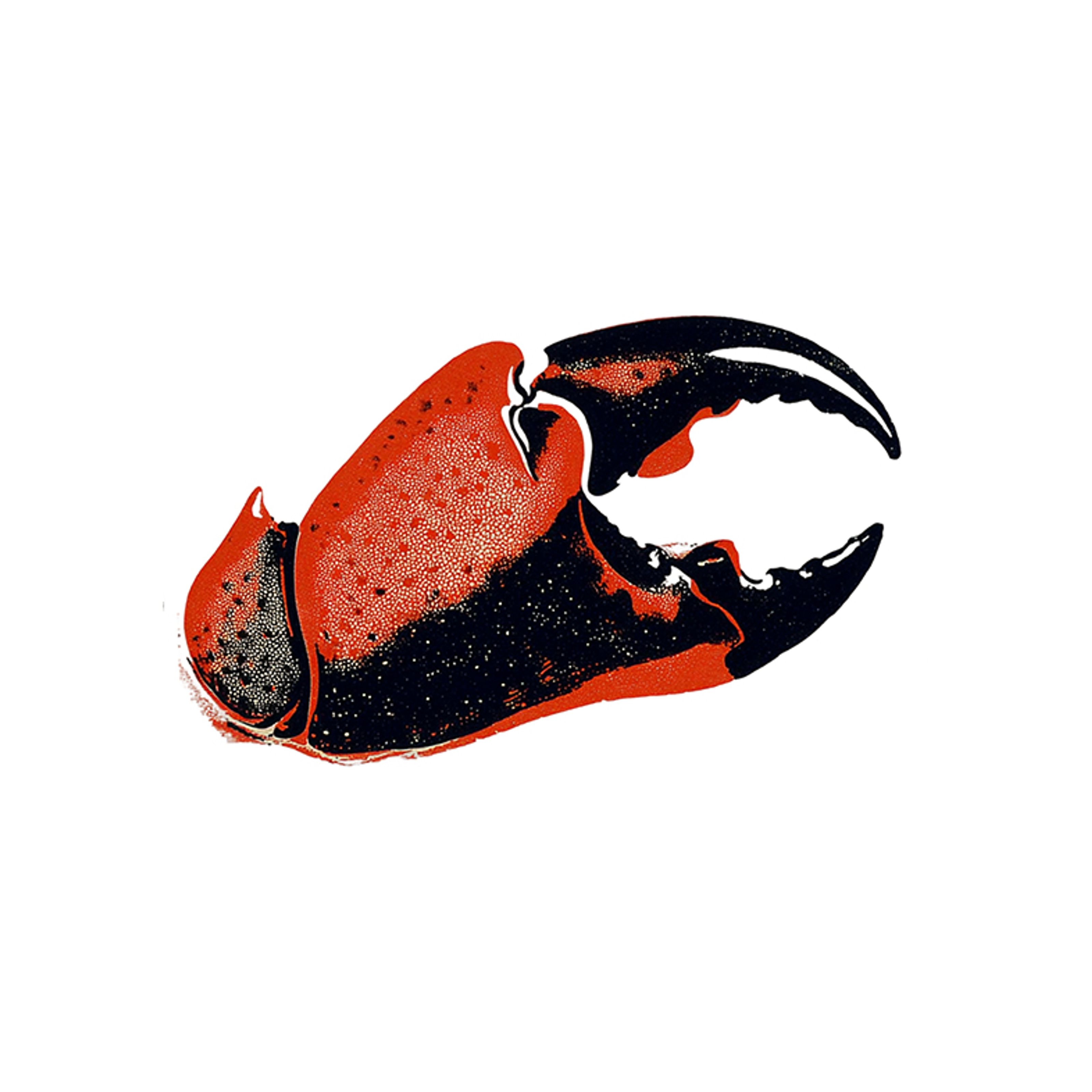 A red and black stippled illustration of a crab claw.