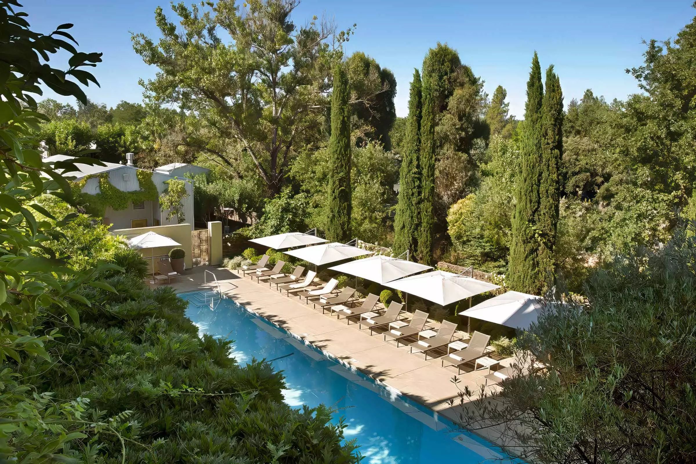 The Hotel Healdsburg pool framed by cypress trees and umbrellas