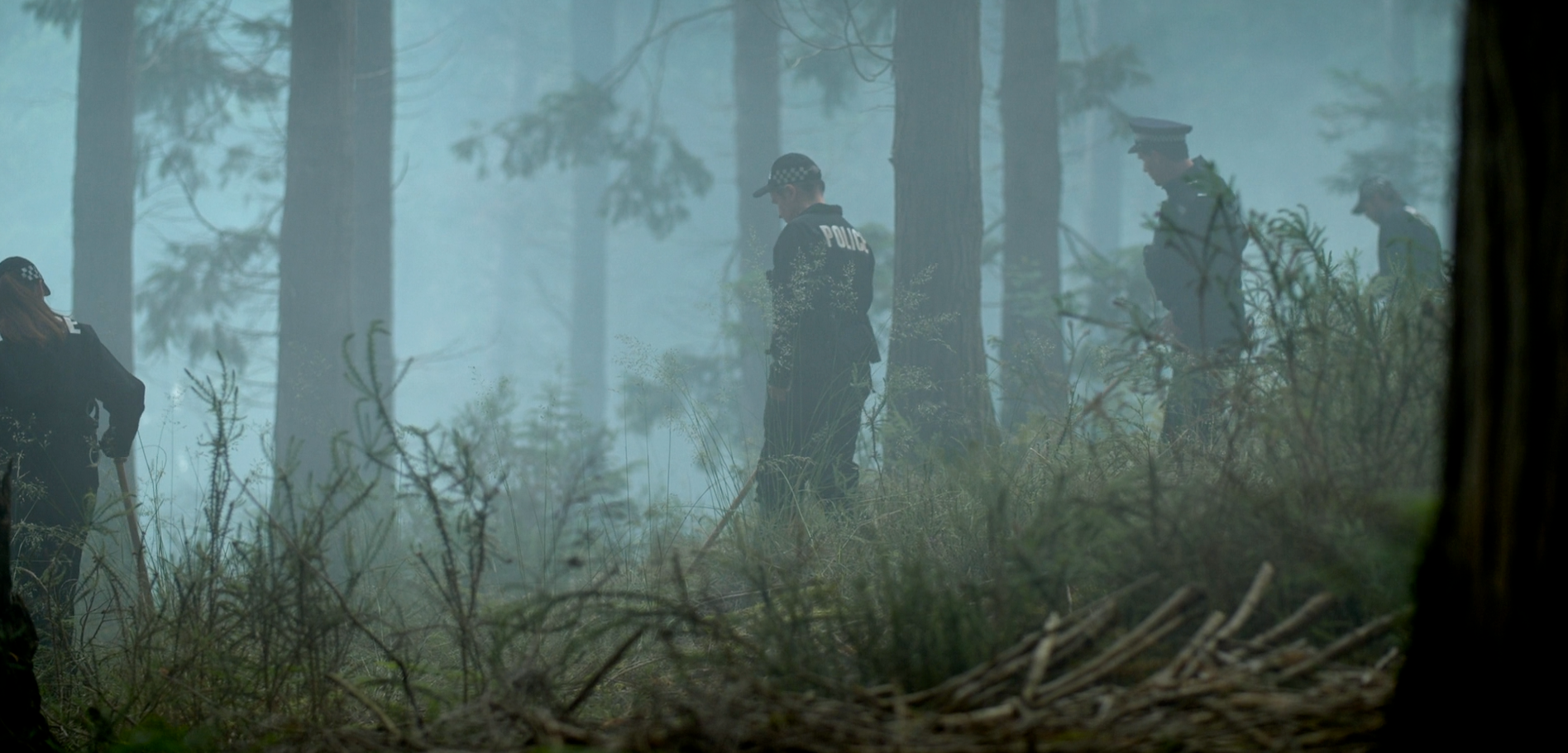 niebla