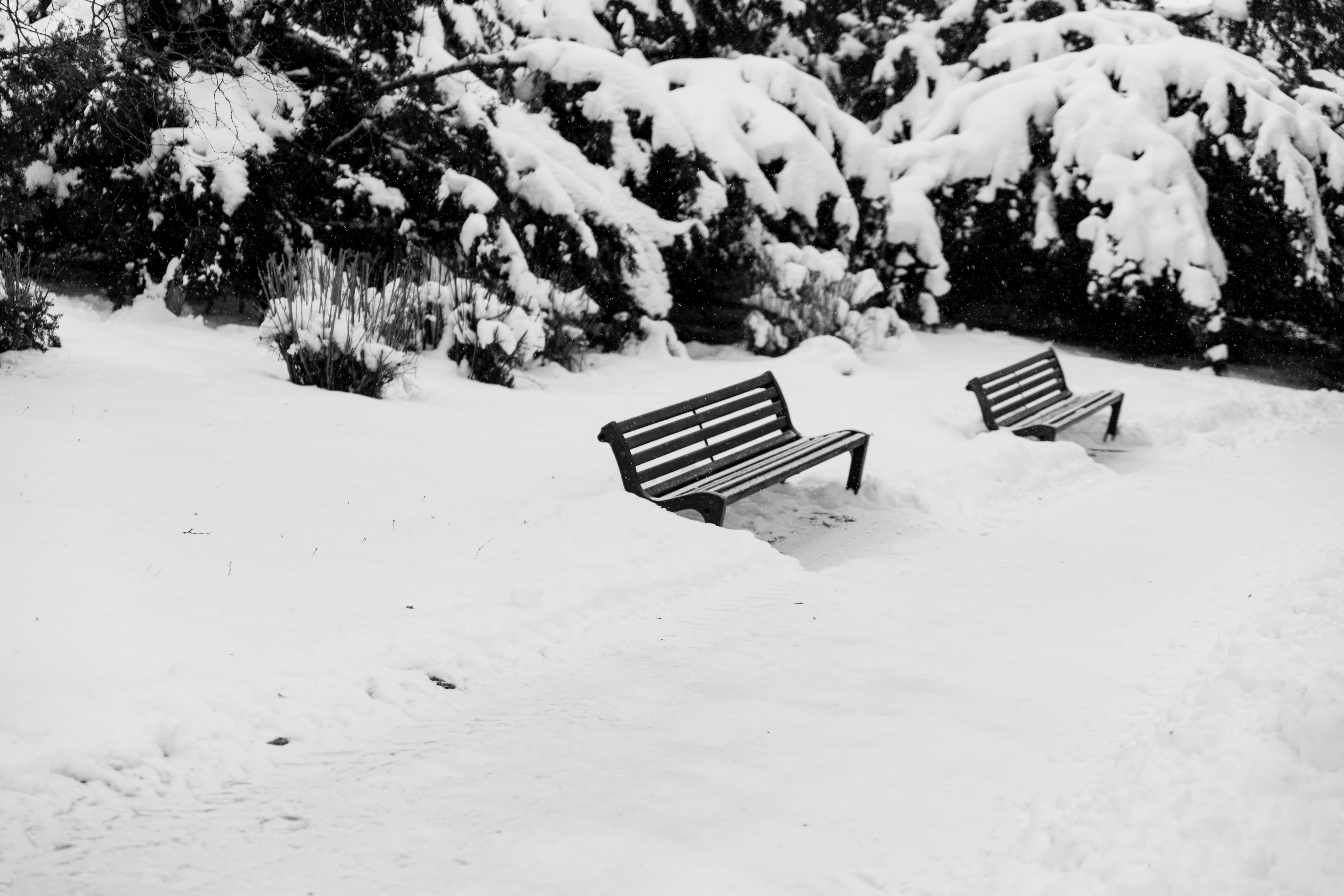 Imagen asociada a Nieve en el archivo de efectos prácticos de INTXIXU FX.