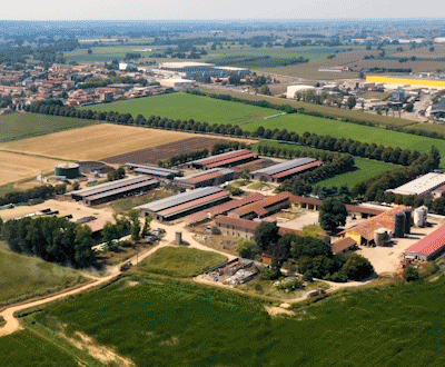 Logo raimondi gif