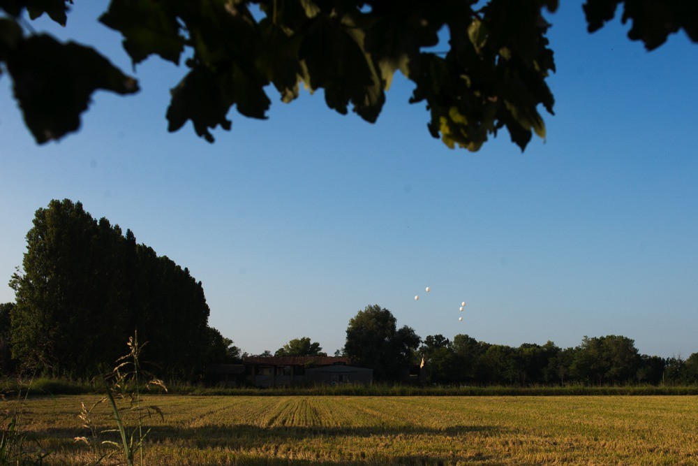 Paesaggio estivo per l'evento di Minimals