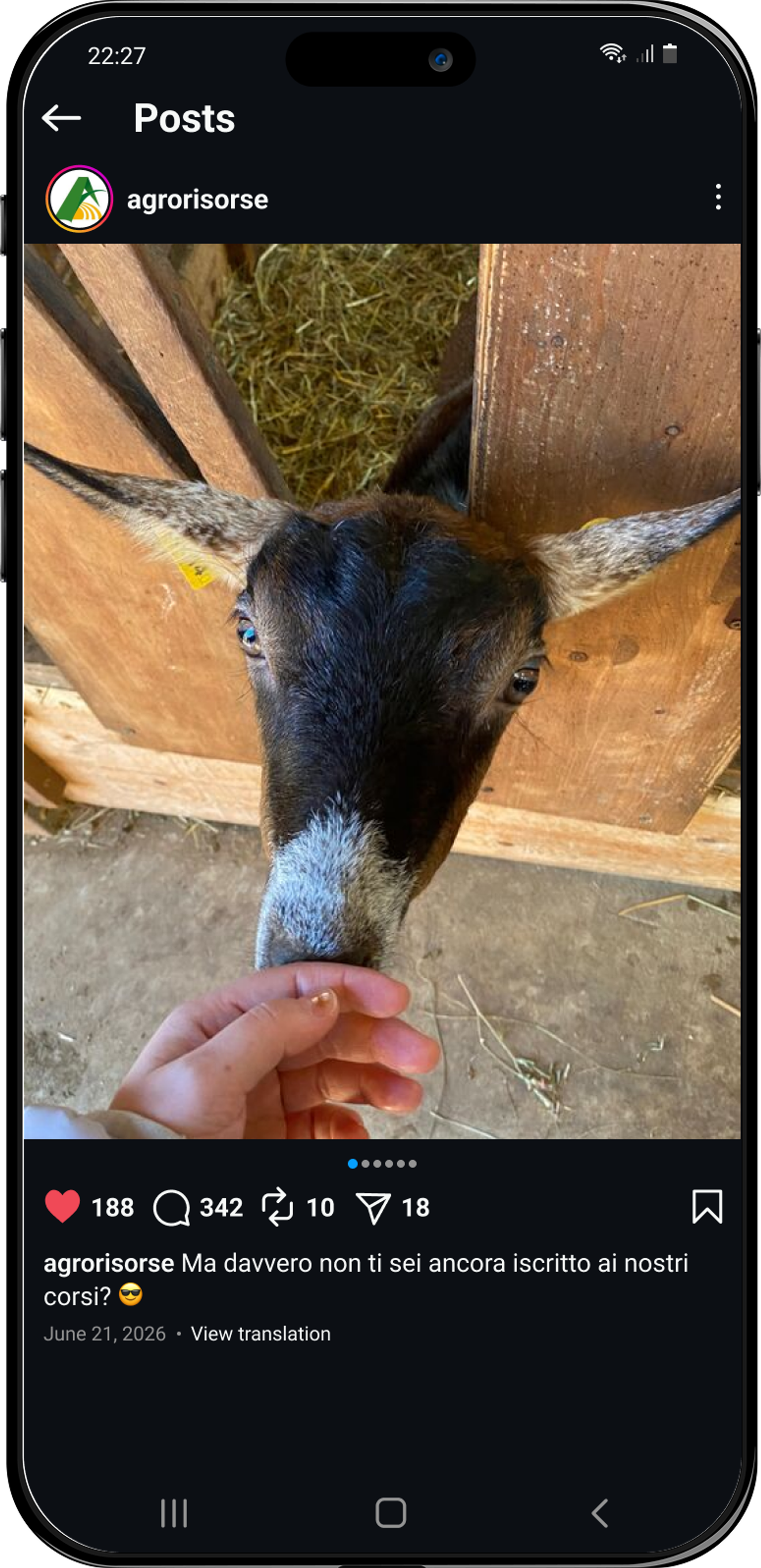 animali post social agrorisorse