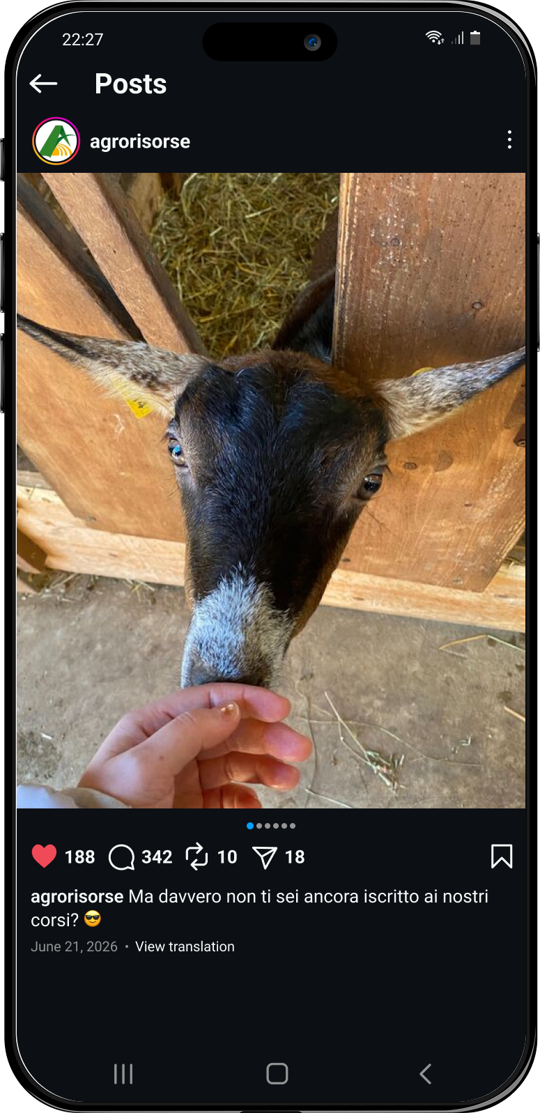 animali post social agrorisorse