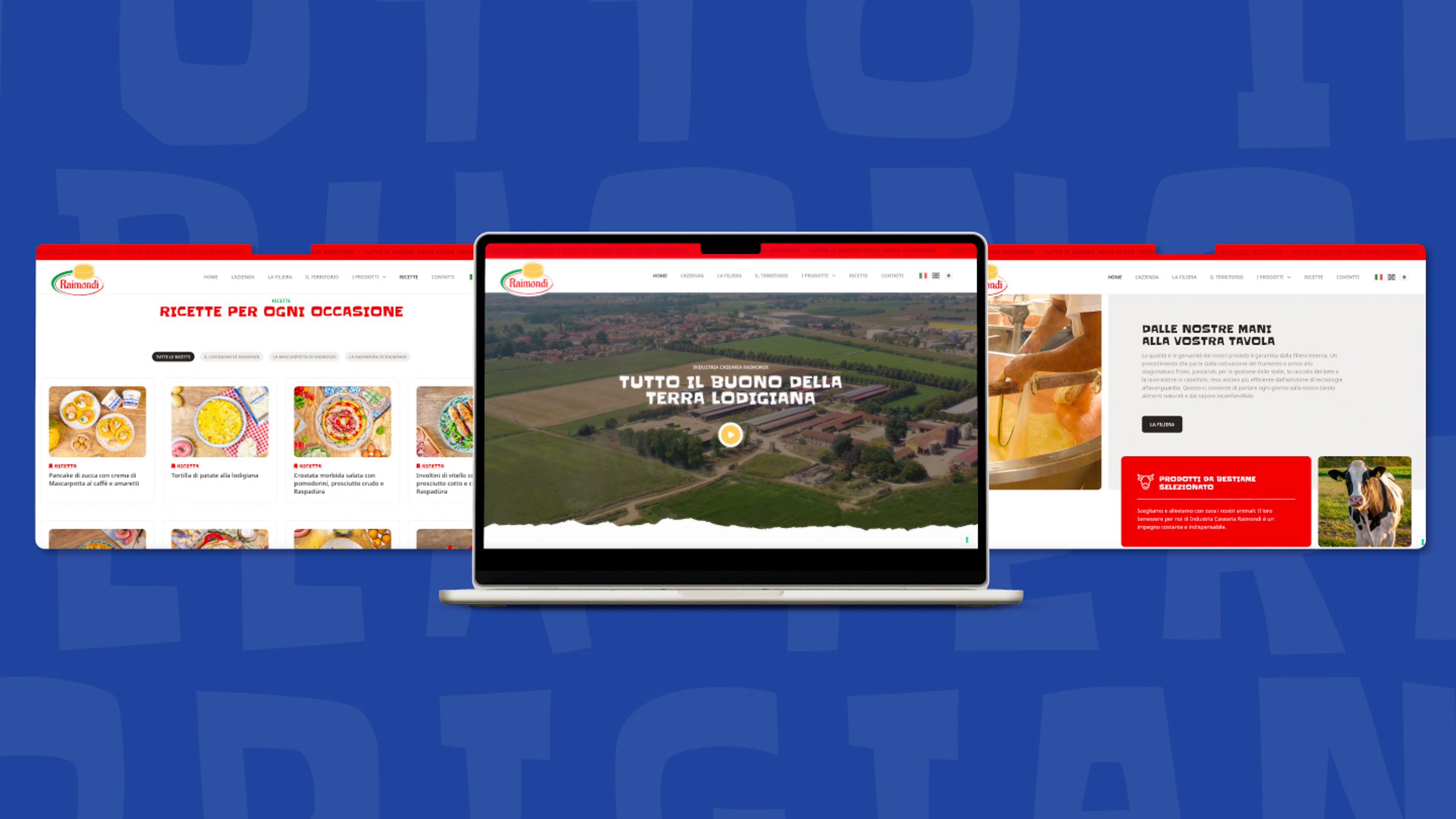 Sito web Caseria Raimondi