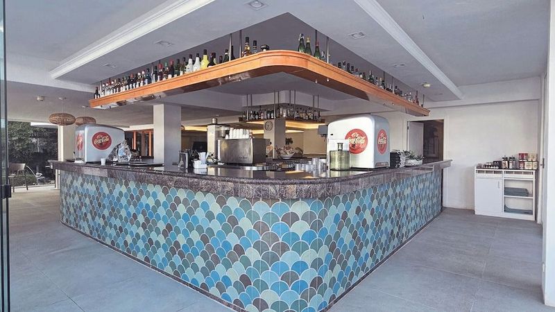 Sentido Fido Tucan - Image 8