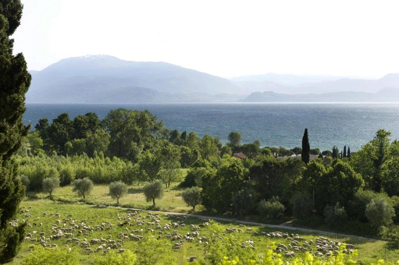 Castello Belvedere Residence - Image 5