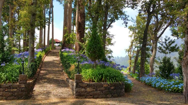 Hotel Quinta da Serra - Image 10