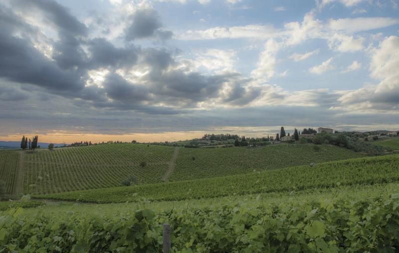 Hotel Belvedere di San Leonino - Image 5