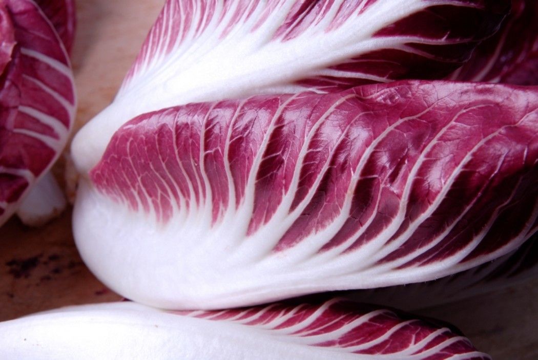 Carpaccio di bresaola radicchio e noci – vinterlig carpaccio