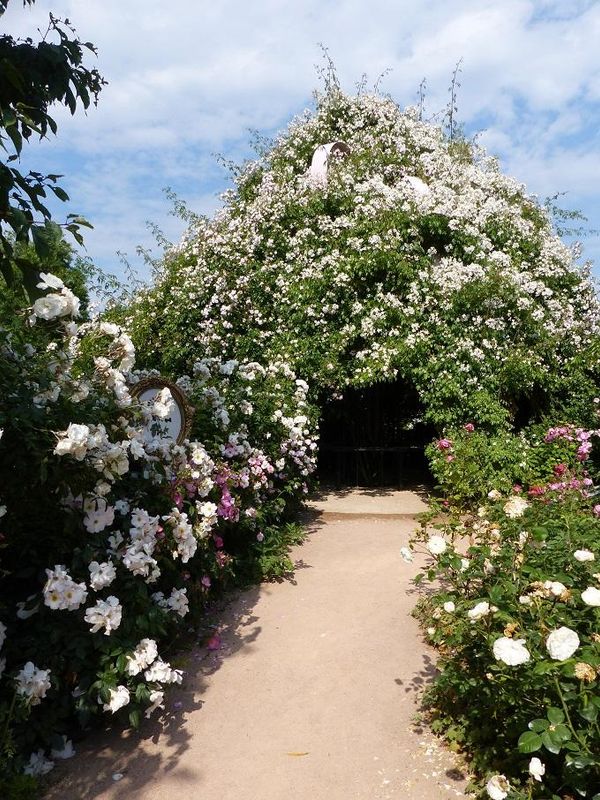 La Roseraie i Terra Botanica