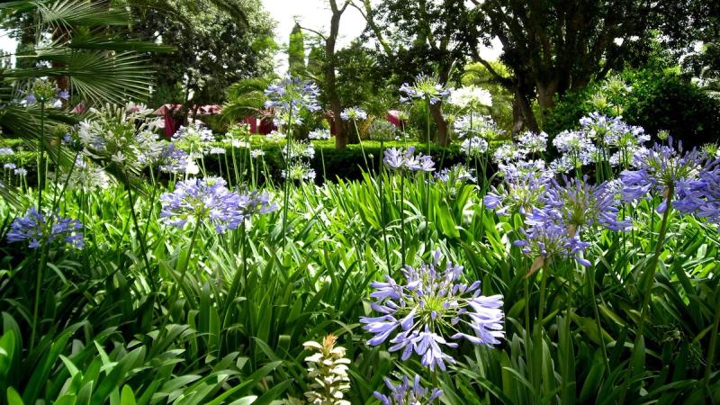 Son Julia Country House Hotel - Image 7