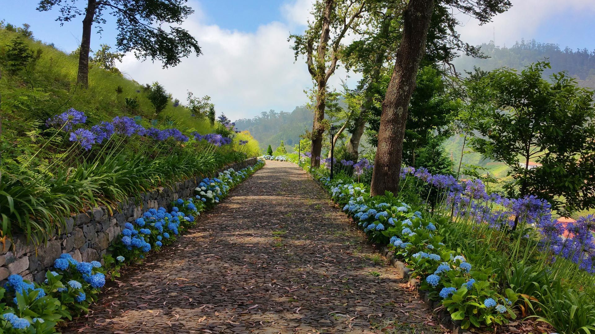 Hotel Quinta da Serra - Image 5