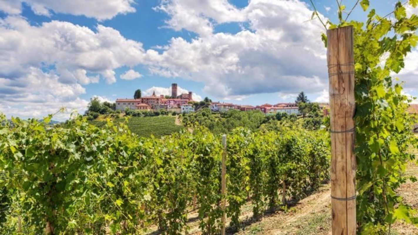 Landskabet i Piemonte er frodigt, bakket og grønt, og overstrøet med kirker, landsbyer og slotte. Foto: Hideaways
