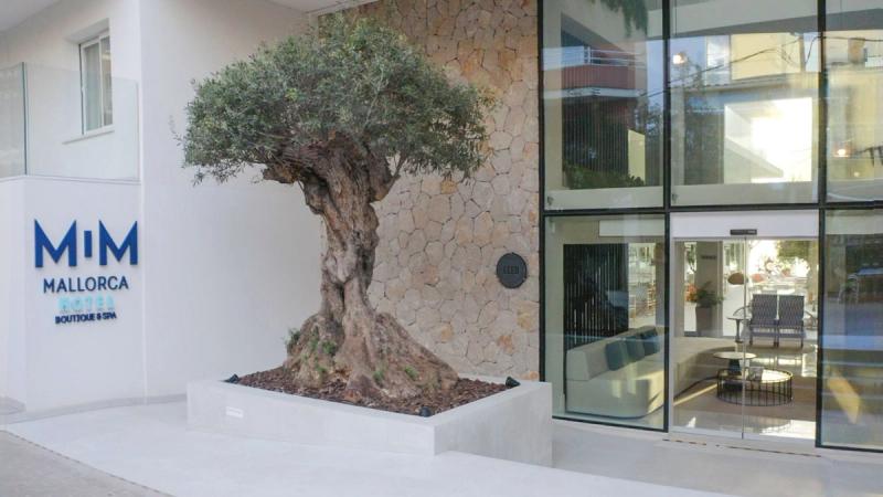 Hotel MiM Mallorca - Image 4
