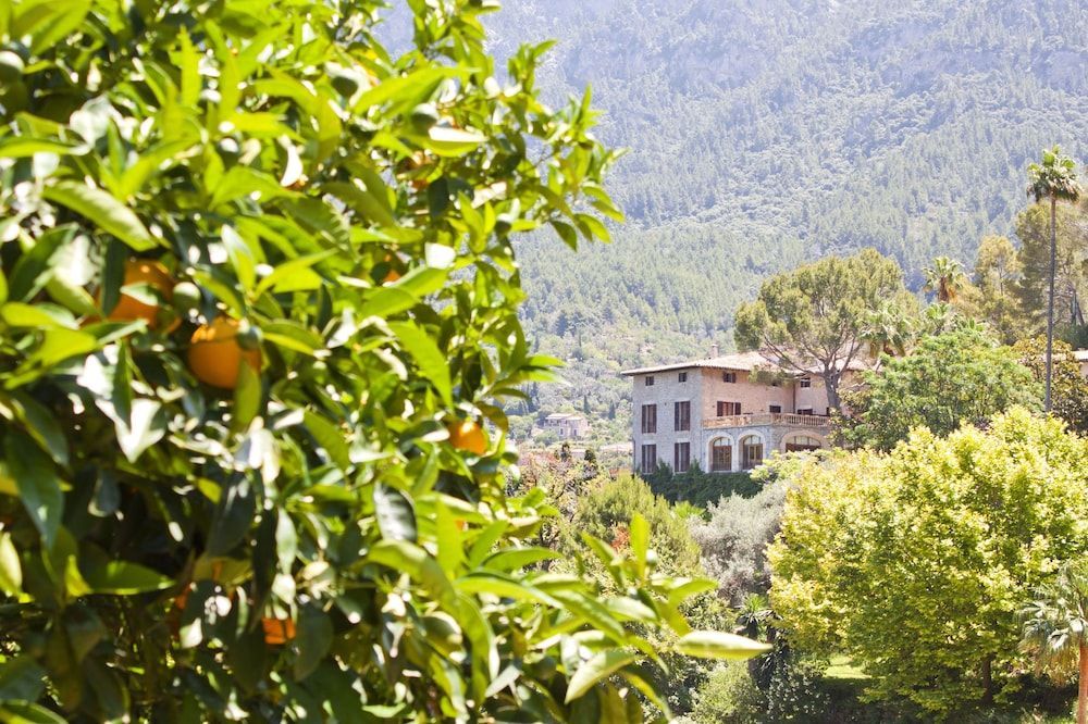Es Moli Hotel - Image 4