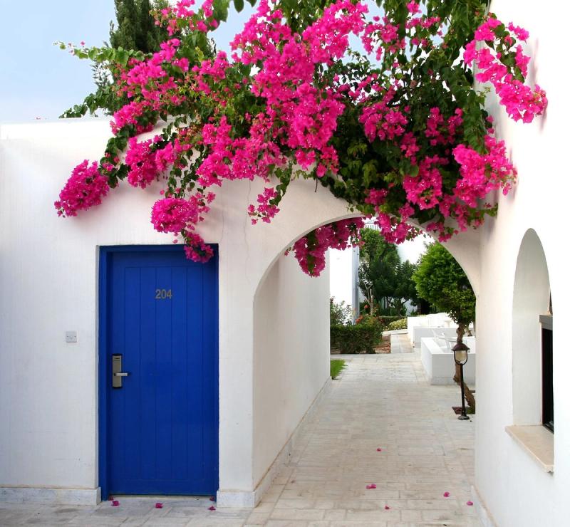Aliathon Aegean - Image 2