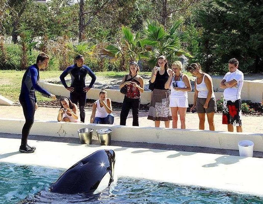 Marineland ved Antibes