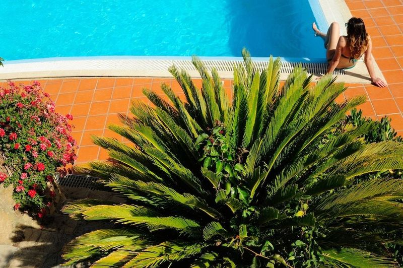 Agriturismo Villa Dafne - Image 6