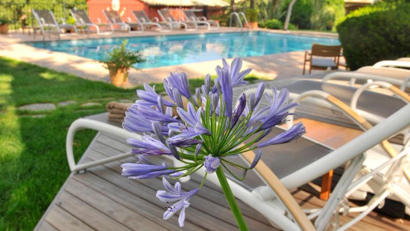 Hotel Restaurant & SPA Cantemerle - Image 3