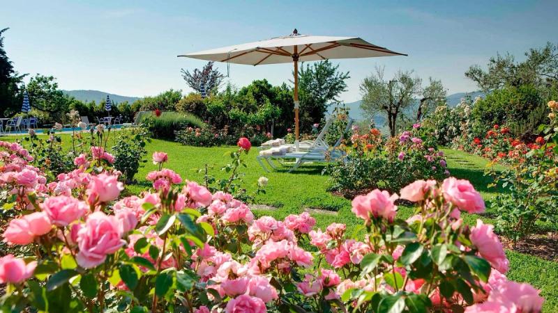 Villa Le Barone - Image 5