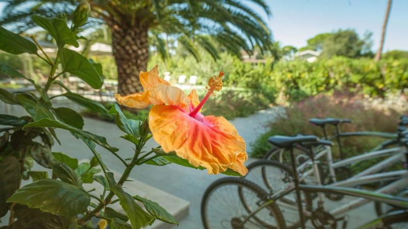 Arli Hotel Hideaway - Image 10