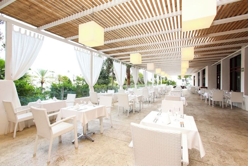 Sentido Fido Tucan - Image 4