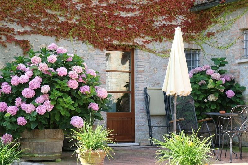 Agriturismo La Sovana - Image 2