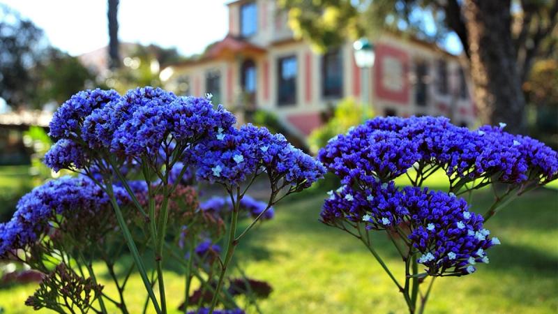 Quinta Splendida - Image 3