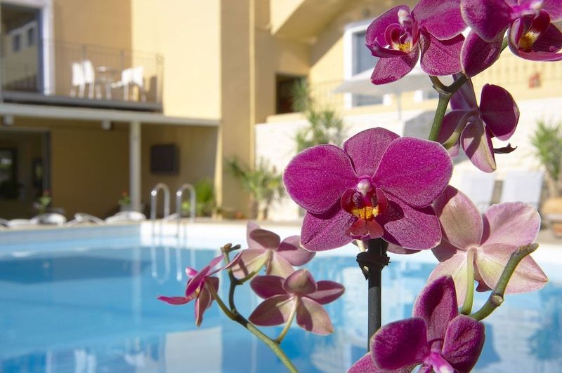 La Stella Apartments & Suites - Image 2