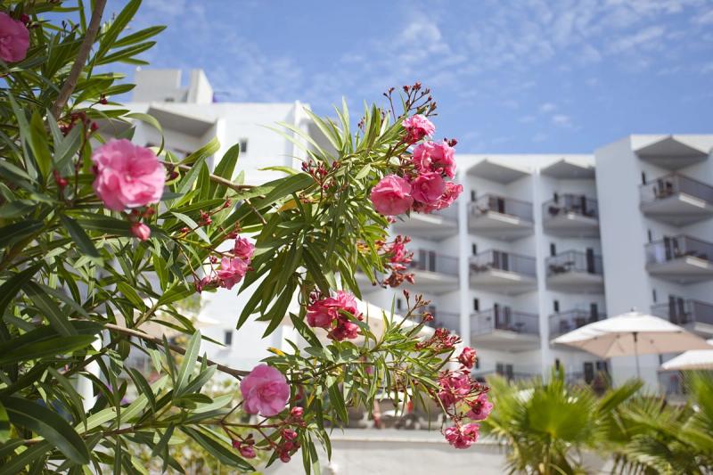 Fergus Bermudas Hotel - Image 2